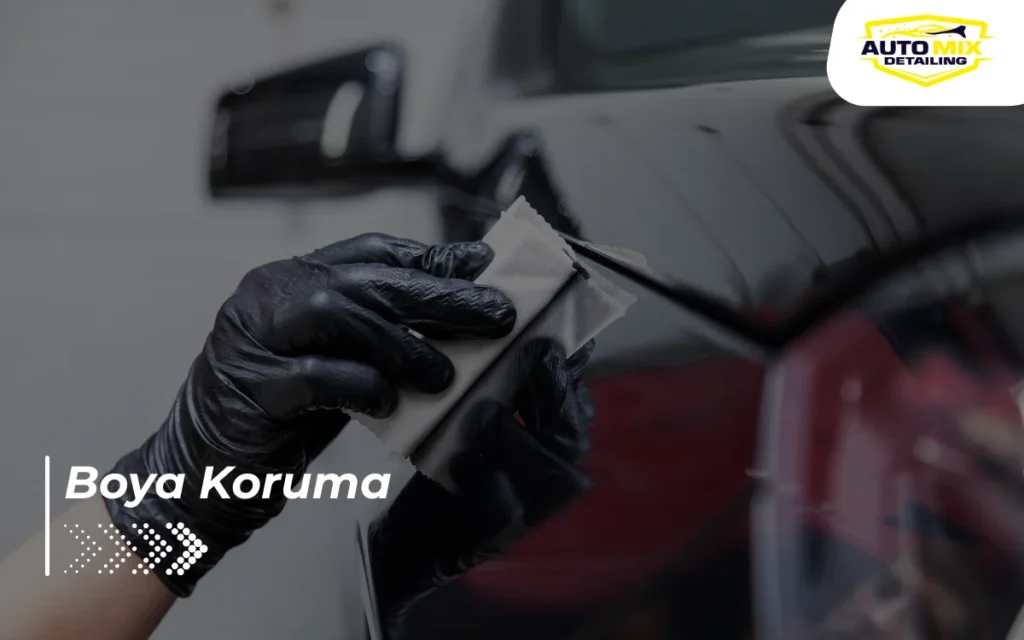Boya Koruma